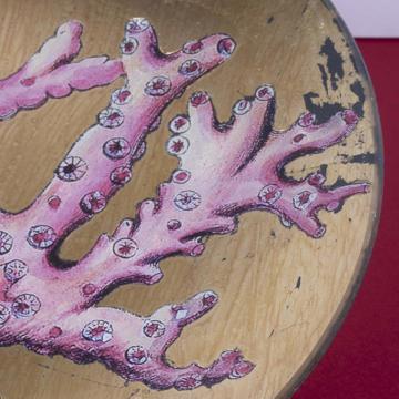 Assiettes Corail en Découpage sous verre, or, corail 7 [3]