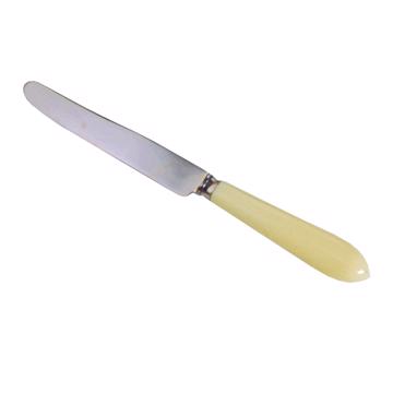 Tipo knife in resin and stainless steel, egg shell, dessert knife