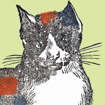 Chat et Chien, Sets de Table Chromo Plastifié, vert clair [4]