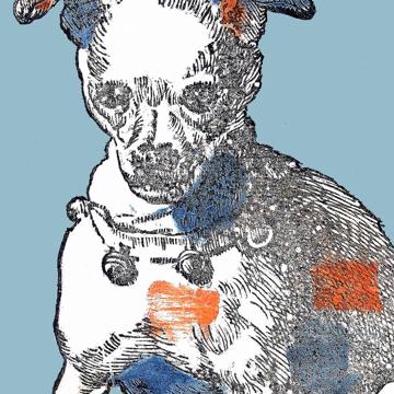 Chat et Chien, Sets de Table Chromo Plastifié, bleu clair [4]