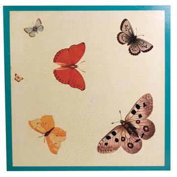 Set de table Papillon en chromo sur bois, turquoise