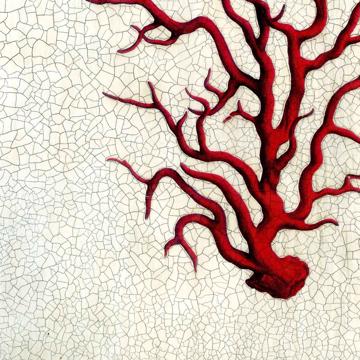 Branche de corail, Sets de Table Chromo Plastifié, rouge [4]