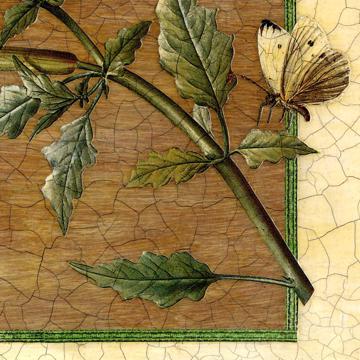 Datura, Chromo placemats in laminated paper, multicolor [4]