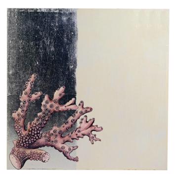 Coquillages, sets de table en Arté Povera sur bois, blanc, corail 2 [3]