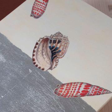Coquillages, sets de table en Arté Povera sur bois, blanc, coquillage 2 [4]