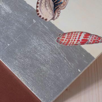 Coquillages, sets de table en Arté Povera sur bois, blanc, coquillage 2 [2]