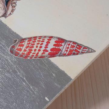 Coquillages, sets de table en Arté Povera sur bois, blanc, coquillage 2 [5]