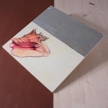 Coquillages, sets de table en Arté Povera sur bois, blanc, coquillage 1 [1]