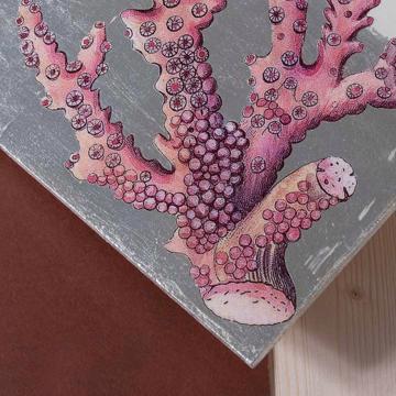 Coquillages, sets de table en Arté Povera sur bois, blanc, corail 2 [4]
