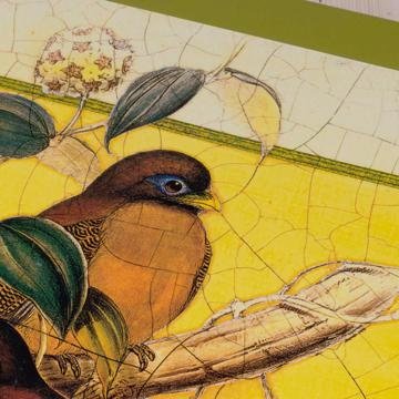 Sets de table Oiseaux Gould en Chromo sur bois, blanc, oiseau 4 [5]