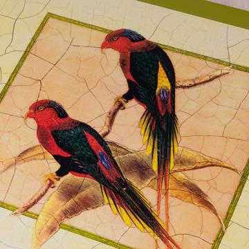 Sets de table Oiseaux Gould en Chromo sur bois, blanc, oiseau 5 [2]