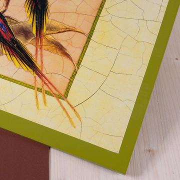 Sets de table Oiseaux Gould en Chromo sur bois, blanc, oiseau 5 [3]