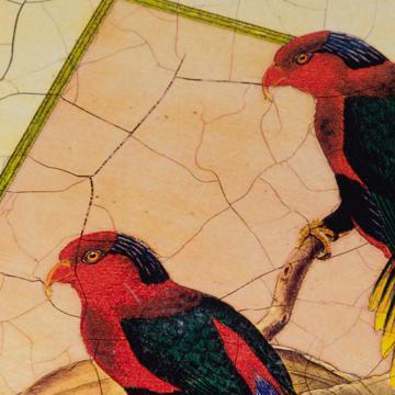 Sets de table Oiseaux Gould en Chromo sur bois, blanc, oiseau 5 [5]