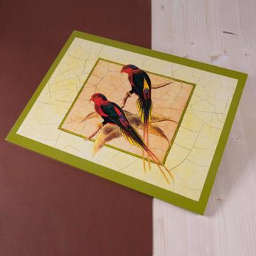 Sets de table Oiseaux Gould en Chromo sur bois, blanc, oiseau 5 [1]