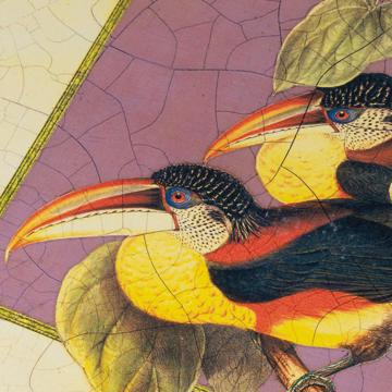 Sets de table Oiseaux Gould en Chromo sur bois, blanc, oiseau 6 [2]