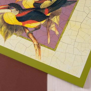 Sets de table Oiseaux Gould en Chromo sur bois, blanc, oiseau 6 [4]