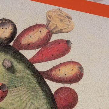 Opuntia, Sets de Table Chromo sur bois, orange [4]