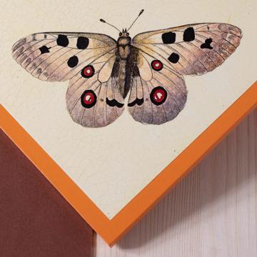 Set de table Papillon en chromo sur bois, orange [5]