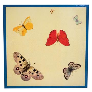 Set de table Papillon en chromo sur bois, bleu foncé