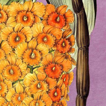 Flowers, Chromo placemats in laminated paper, violet, flower 4 [4]