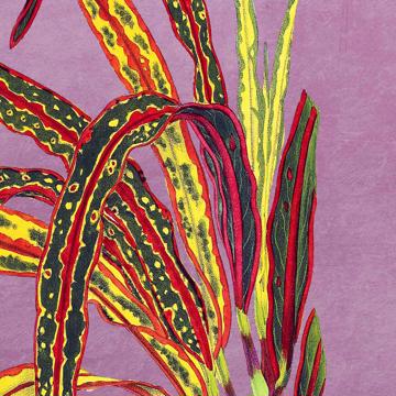 Flowers, Chromo placemats in laminated paper, violet, flower 8 [4]
