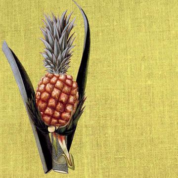 Fruits, Sets de Table Chromo Plastifié, jaune paille, fruit 9 [4]