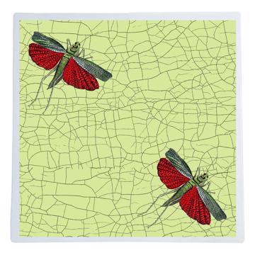 Butterflies and dragonflies, Chromo placemats in laminated paper, light green, criquet [1]