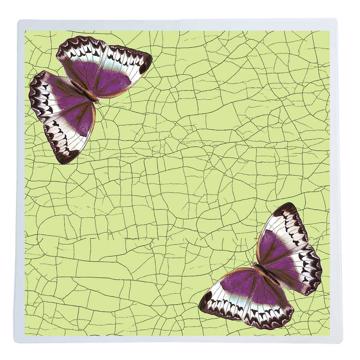 Papillons et libellules, Sets de Table Chromo Plastifié, vert clair, papillon 1 [1]