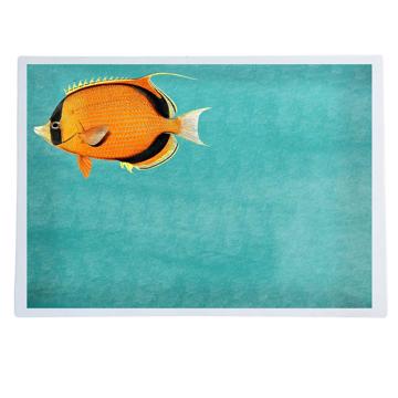 Poissons et Coquillages, Sets de Table Chromo Plastifié, aqua, poisson 3 [1]
