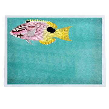 Poissons et Coquillages, Sets de Table Chromo Plastifié, aqua, poisson 4 [1]