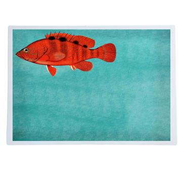 Poissons et Coquillages, Sets de Table Chromo Plastifié, aqua, poisson 1 [1]