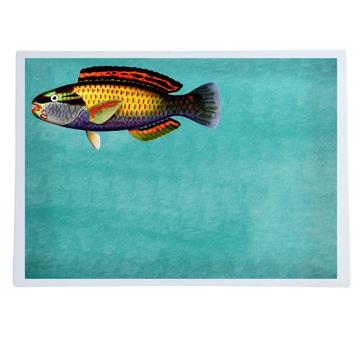 Poissons et Coquillages, Sets de Table Chromo Plastifié, aqua, poisson 5 [1]