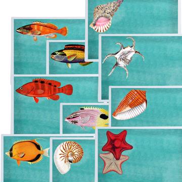 Poissons et Coquillages, Sets de Table Chromo Plastifié, aqua, collection complète [1]