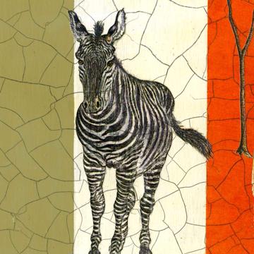 Safari, Sets de Table Chromo Plastifié, multicolore, zèbre [4]