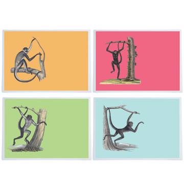 Singes, Sets de Table Chromo Plastifié, multicolore, collection complète [1]