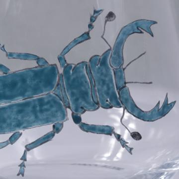 Verre Scarabée en Email sur Cristallin, bleu canard [4]