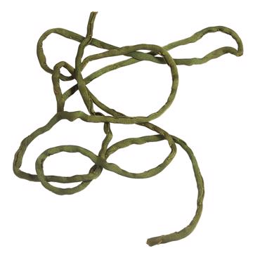 Liens en Soie roulée, vert péridot