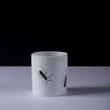 Ant collection in Limoges porcelain