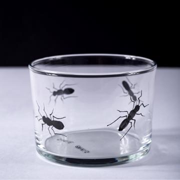 Verre Fourmis en émail sur Cristallin