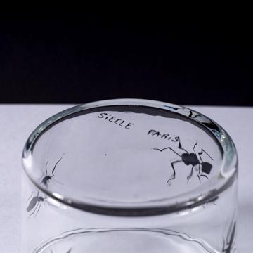 Verre Fourmis en émail sur Cristallin, noir [4]
